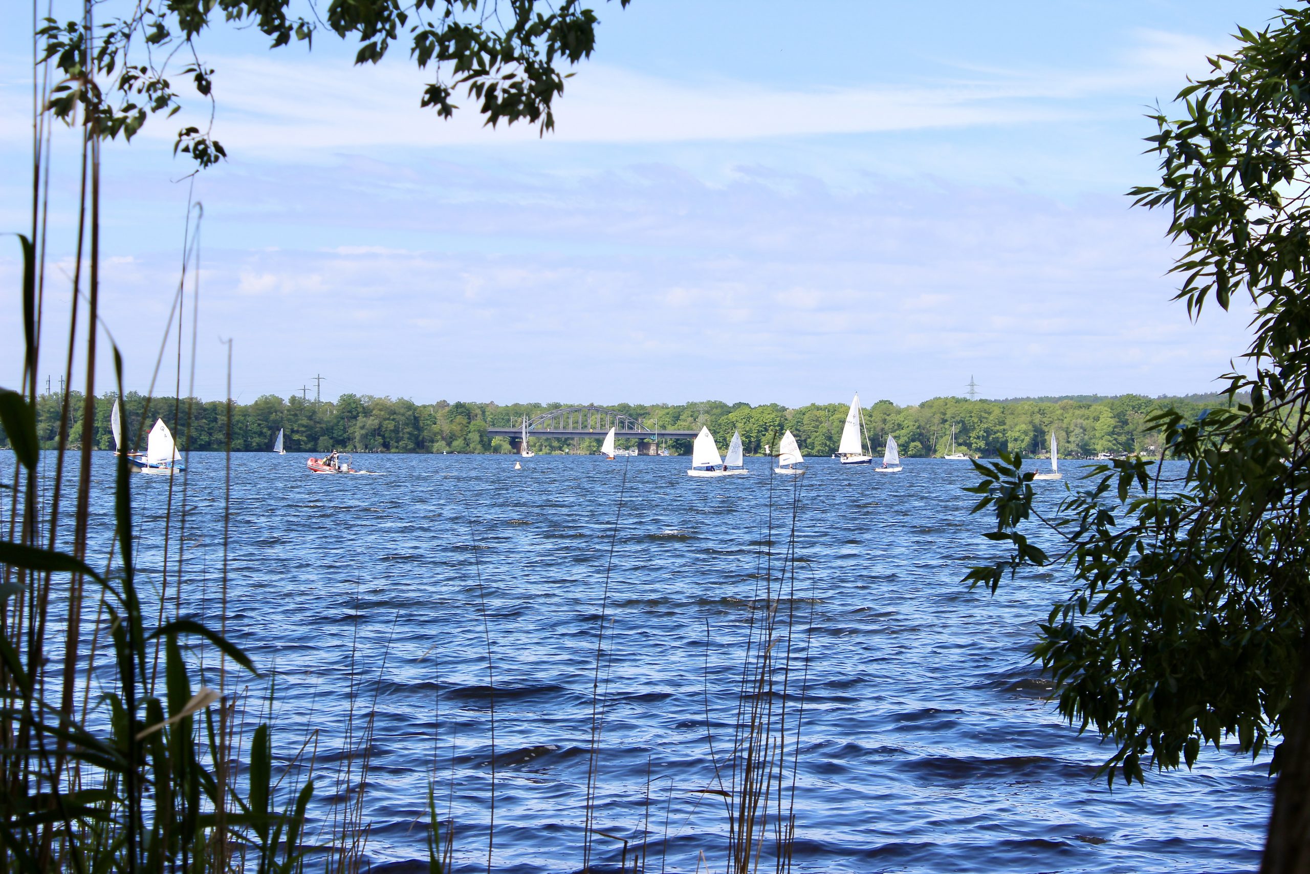 Frühjahrsregatta bei guten Windbedingungen